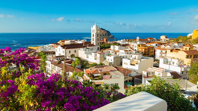 wyspykanaryjskieteneryfa